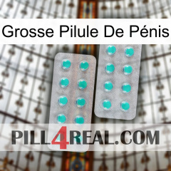 Grosse Pilule De Pénis 29